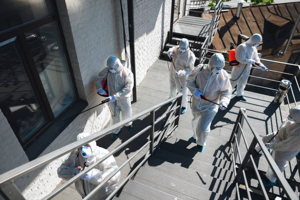 Mold Remediation for Rental Properties in Woodburn, IN