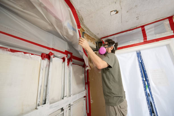 Best Attic Mold Removal  in Woodburn, IN